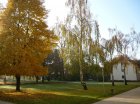 herbstimpressionen 01